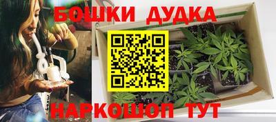 крисы Нягань