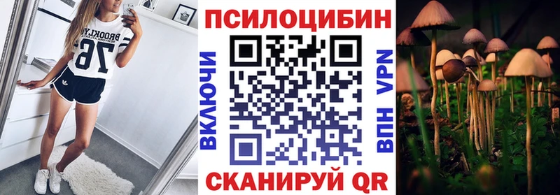 Галлюциногенные грибы Cubensis Заринск