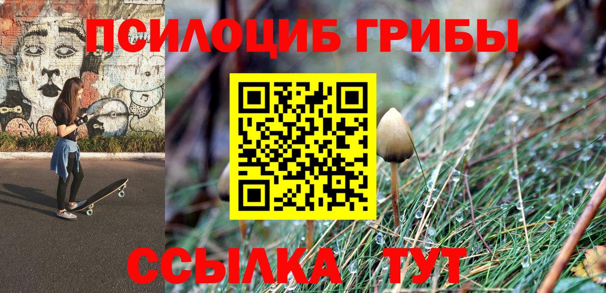 Заринск  Галлюциногенные грибы ЛСД  Галлюциногенные грибы MAGIC MUSHROOMS  Вход с VPN 
